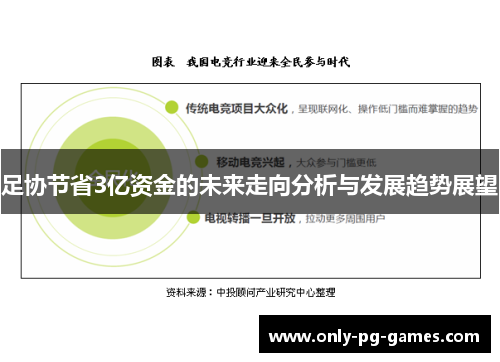 足协节省3亿资金的未来走向分析与发展趋势展望